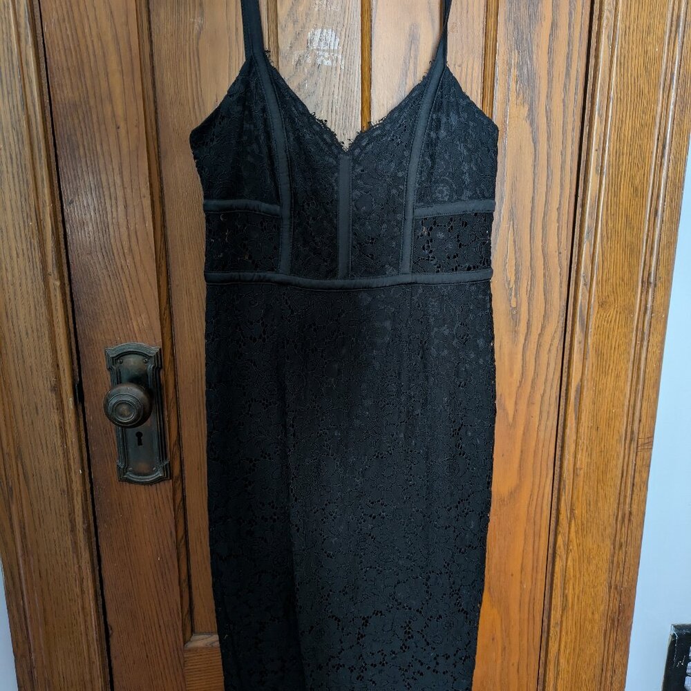 Express Piped Lace Sheath Dress